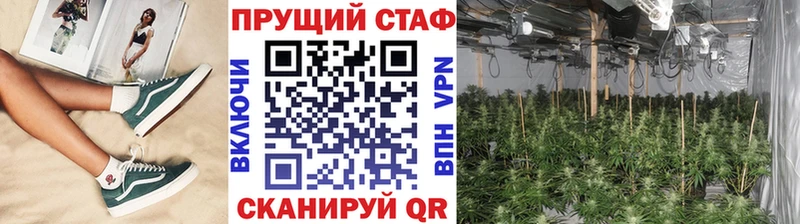 Где можно купить наркотики Болотное Галлюциногенные грибы  APVP  МЕФ  Марихуана 