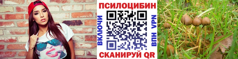 Галлюциногенные грибы Cubensis  хочу наркоту  Болотное 